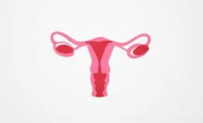 can women have 2 vaginas|Uterus Didelphys: A rare phenomenon where you。